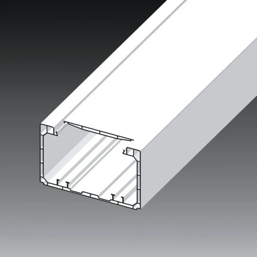 main_image