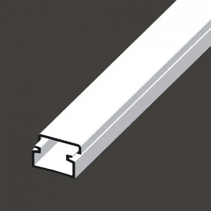 main_image