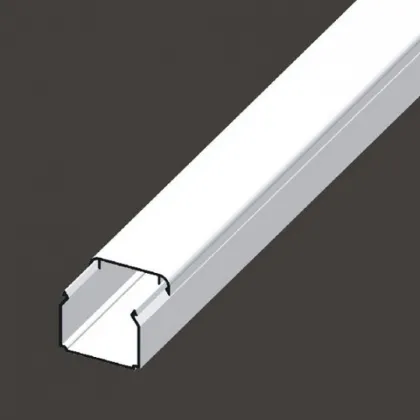 main_image
