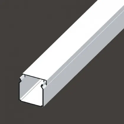 main_image