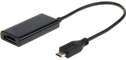 main_image