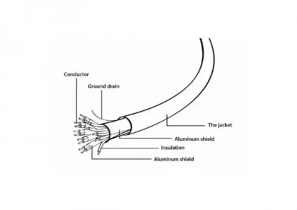 main_image