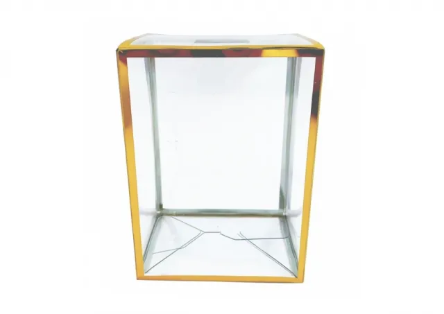 Clear Gold Version 4'' Pop Protector With Film On It With Soft Crease Line And Automatic Bot Lock