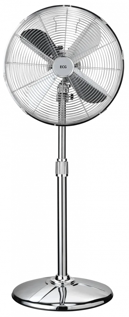 main_image