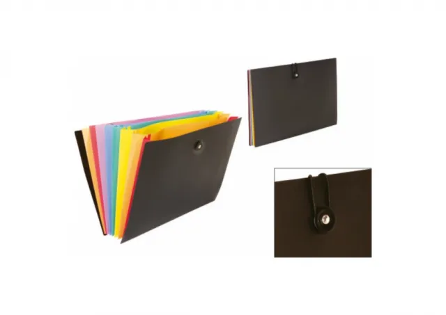 Expanding organizer Rainbow Class Viquel 