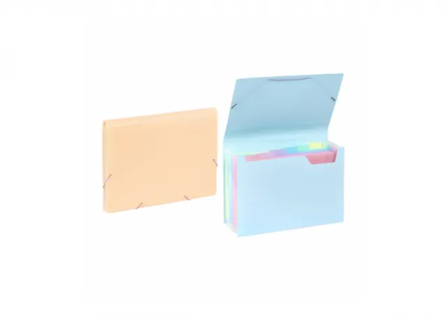 Expanding organizer sa 6 pregrada i gumicom Rainbow Pastel Viquel sortirano 04CK30