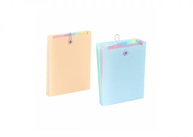 Expanding organizer sa 6 pregrada i gumicom USPRAVNI Rainbow Pastel Viquel sortirano