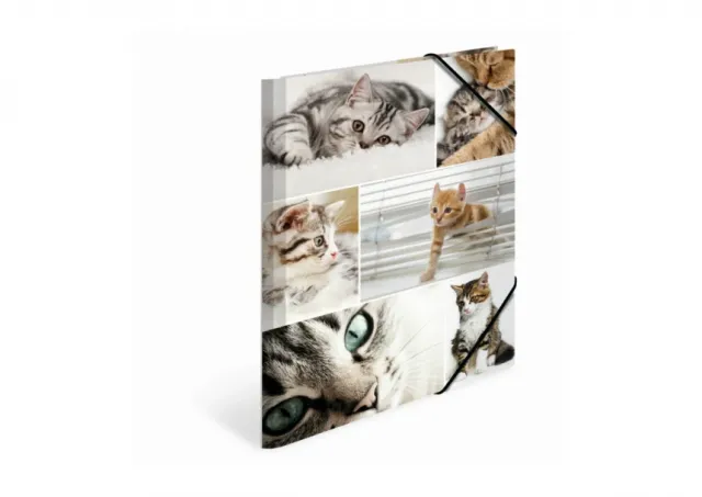 Fascikla plastificirana sa gumicom CATS, 240 x 320 x 15 mm Herma  04CF19212