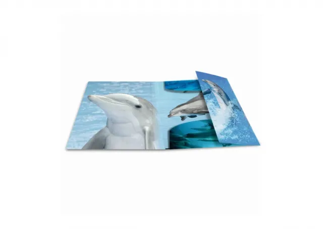 Fascikla PP sa gumicom DOLPHIN, 240 x 320 x 15 mm Herma  04CF7141