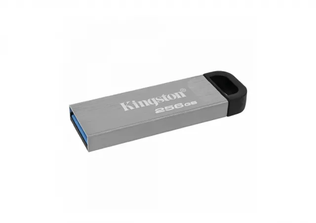FlashDrive 256GB Kingston DTKN/256GB Sivi USB3.2	