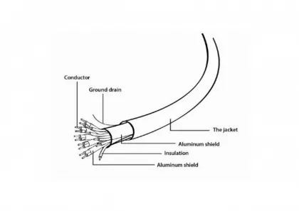 main_image