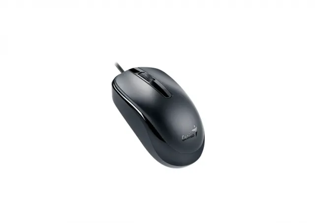 GENIUS DX-120 USB-C Optical crni miš 
