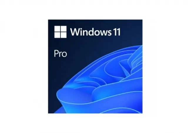 Microsoft 4YR-00316 Win 11 Pro GGK 64Bit Eng Intl 1pk DSP ORT OEI DVD