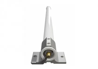 main_image
