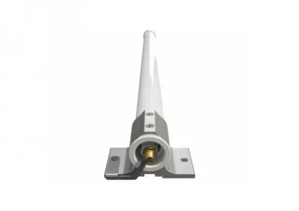 main_image