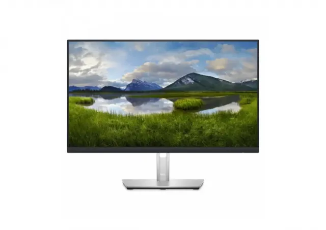 Monitor 24 Dell P2423D