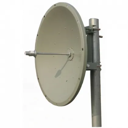 main_image