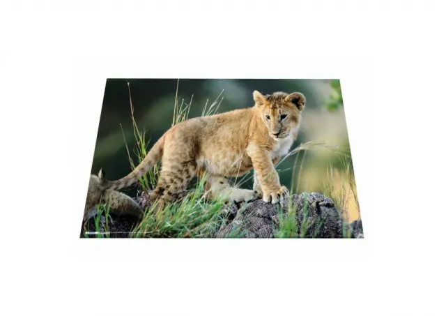Podloga za sto 550x350 mm, AFRICA Herma 
