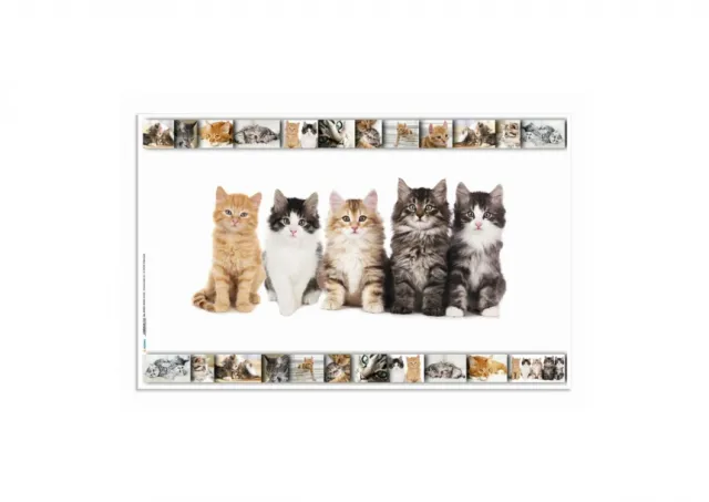 Podloga za sto 550x350 mm, CATS Herma 