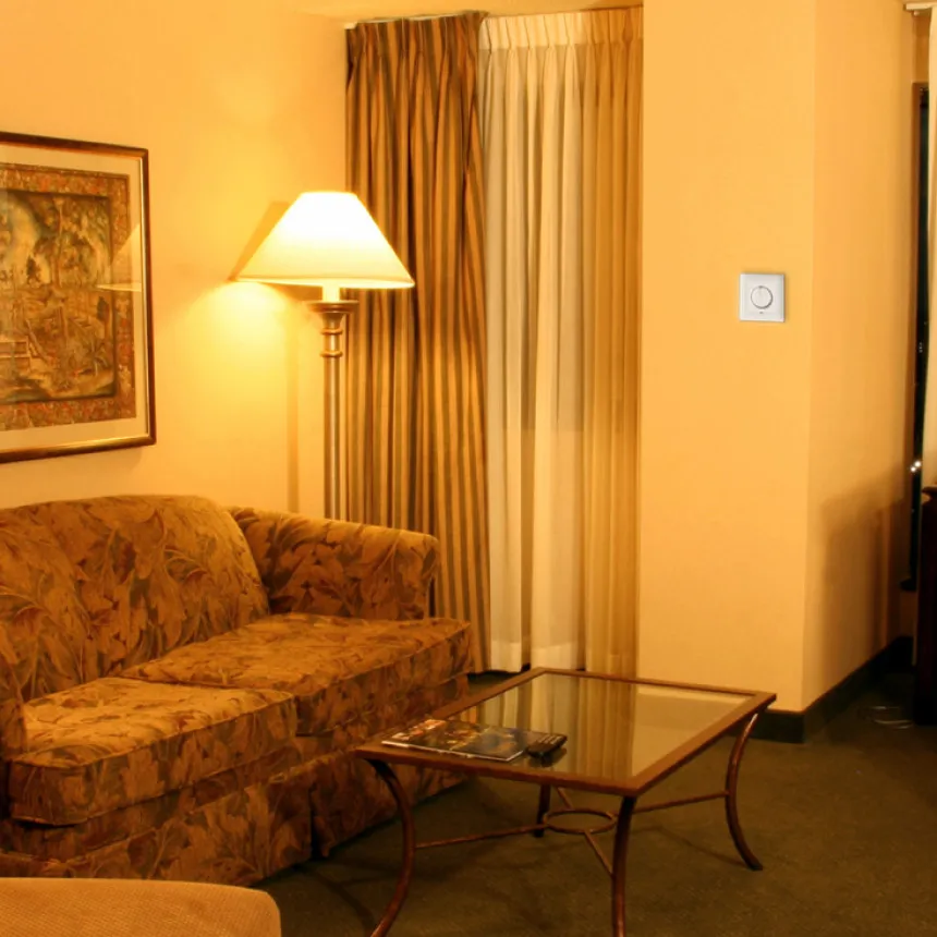 main_image