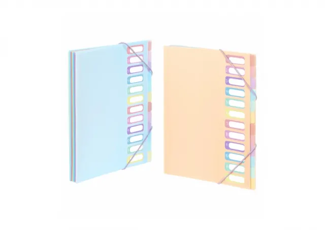 PVC Organiser sa 12 pregrada i gumicom Rainbow Pastel Viquel sortirano