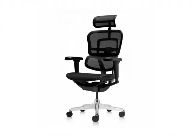 Radna fotelja ERGOHUMAN 2 ULTRA BLACK