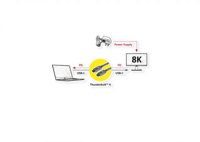 ROLINE Thunderbolt 4 Cable 40Gbit/s 100W C-C M/M passive crna 0.80 m