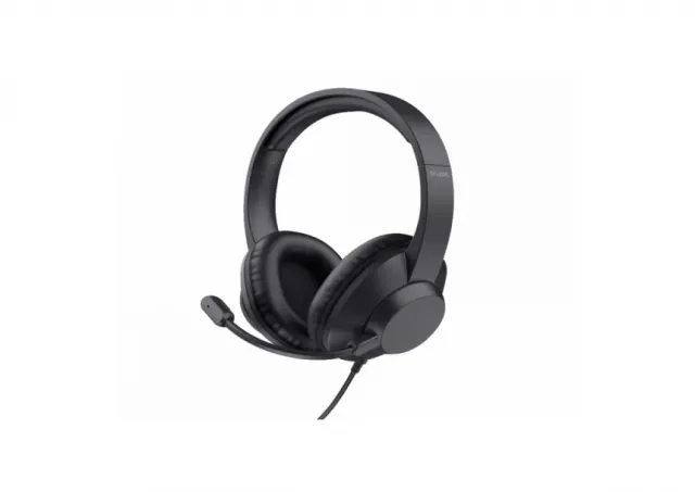 Slušalice TRUST AYDA MAX USB HEADSET/USB-C, USB-A/crna
