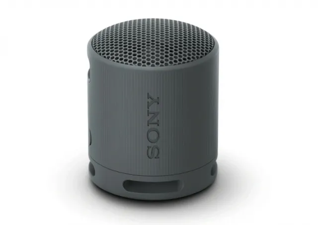 Sony SRS-XB100B (crni)