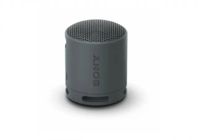 Sony SRS-XB100H (sivi)