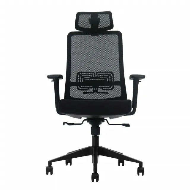 UGD Ultra Ergonomska kancelarijska stolica LumbarMax