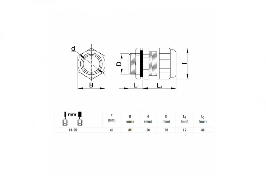 main_image